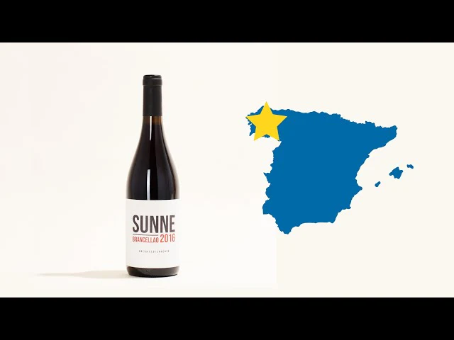 Sunne Brancellao 2016 - Image 5