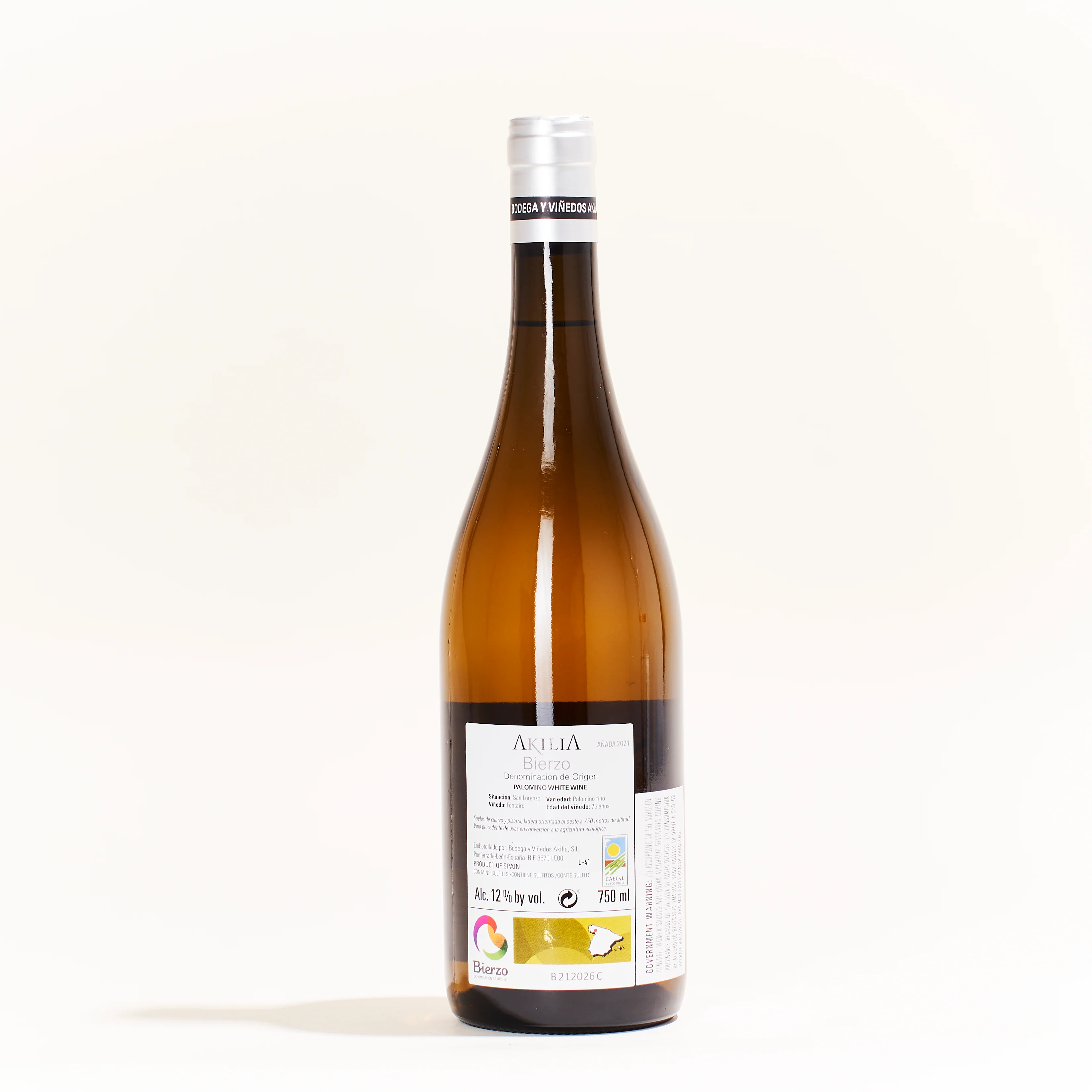 Villa de San Lorenzo Bierzo 2021 - Image 2