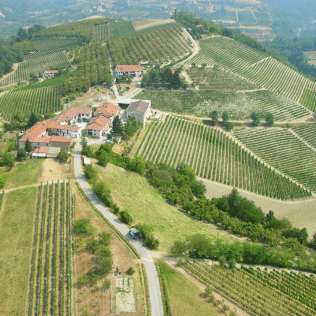 Pirona 2019 - Image 4