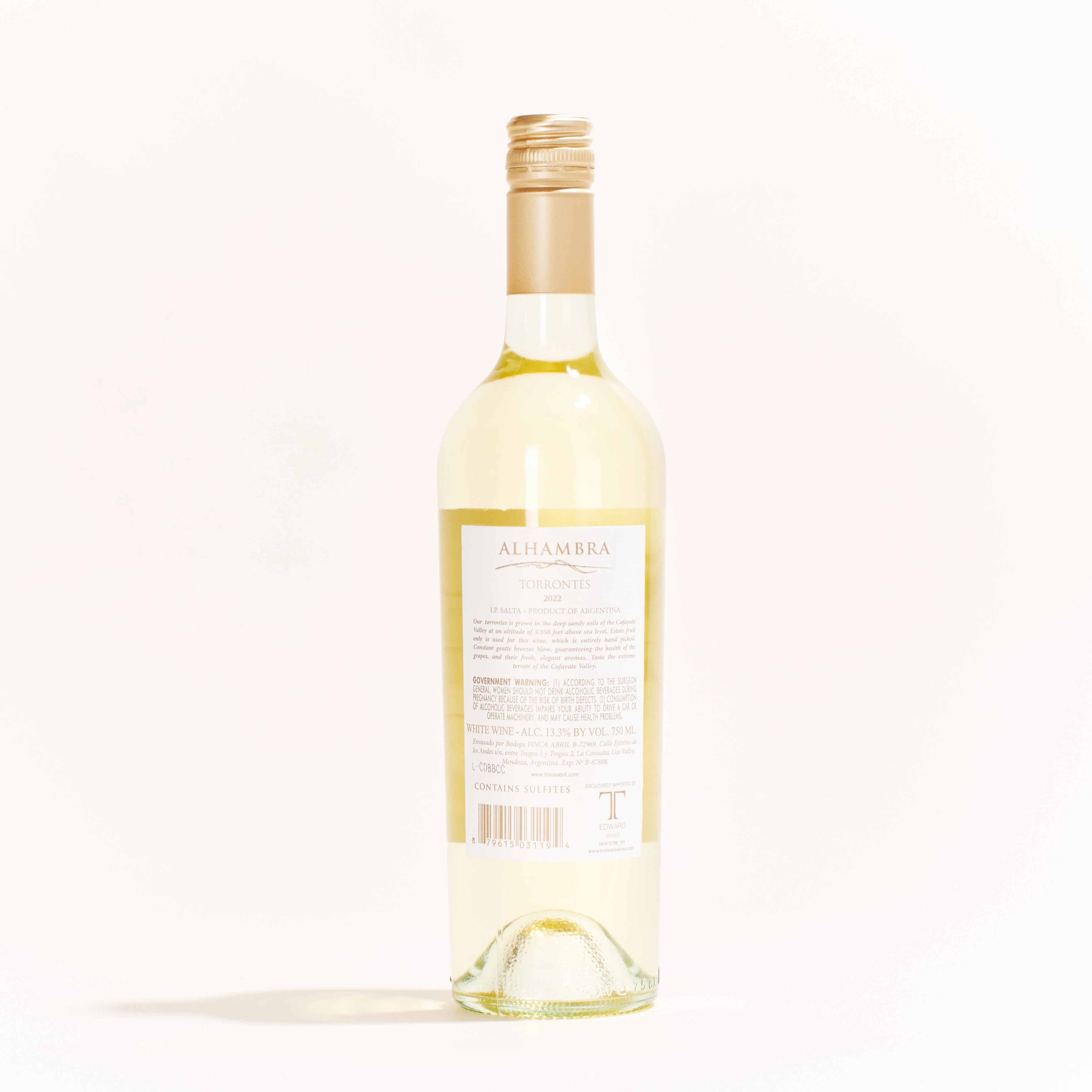 Torrontés 2022 - Image 2