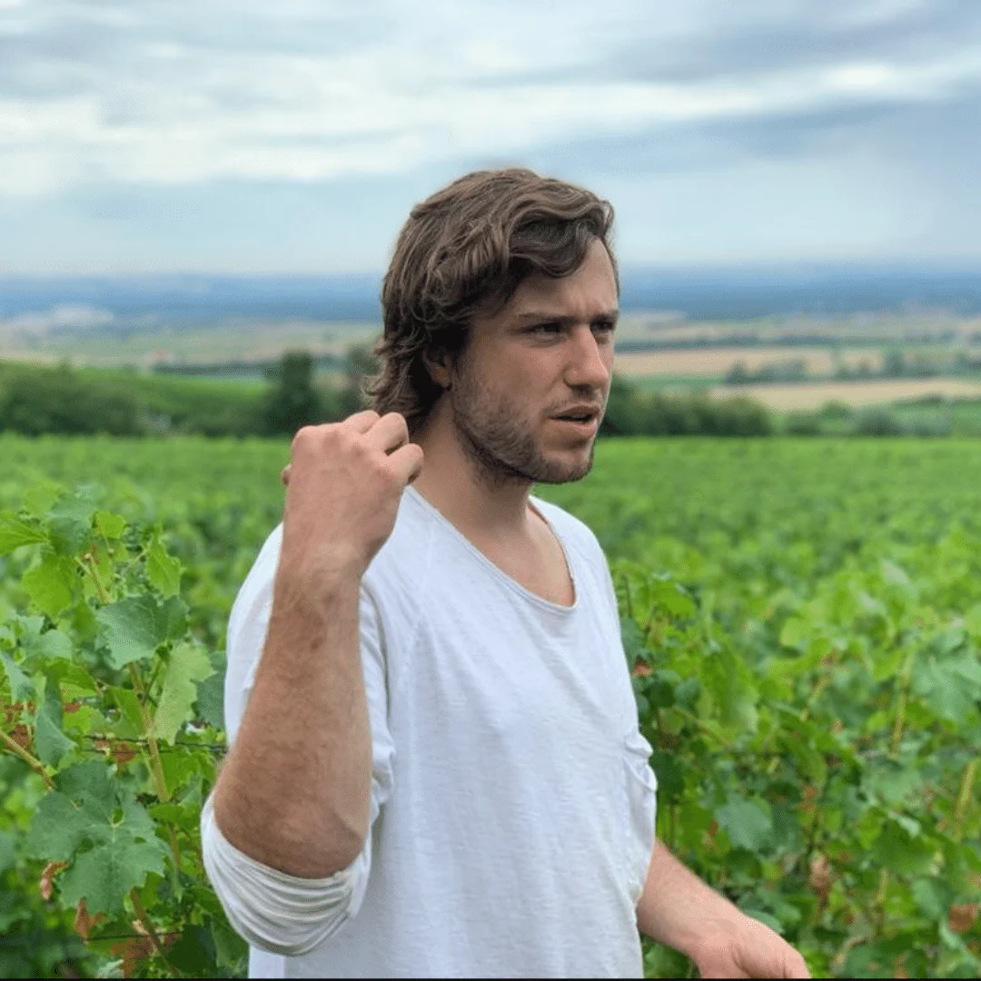 Silvaner 2021 - Image 3
