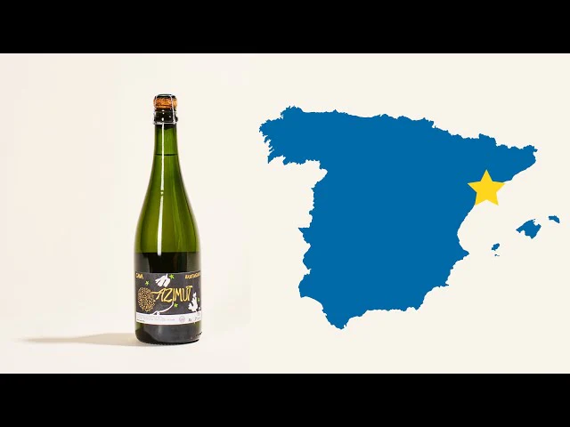 Cava Brut Nature 2023 - Image 5