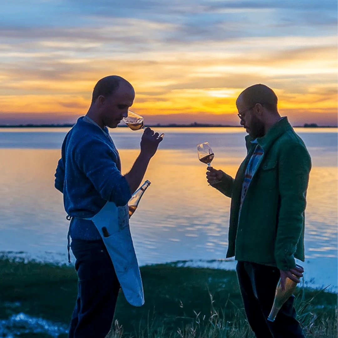 Cádiz Amorro Blanco 2019 - Image 3