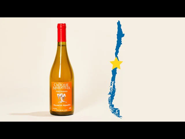 Vino Naranja 2024 - Image 5