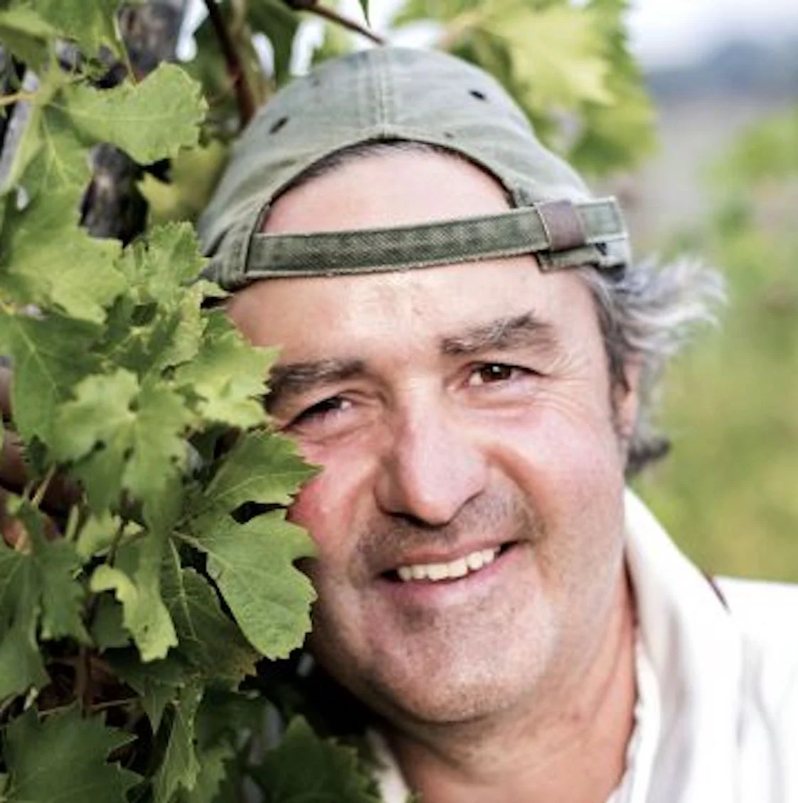 Sauvignon dell' Emilia Frizzante 2021 - Image 3
