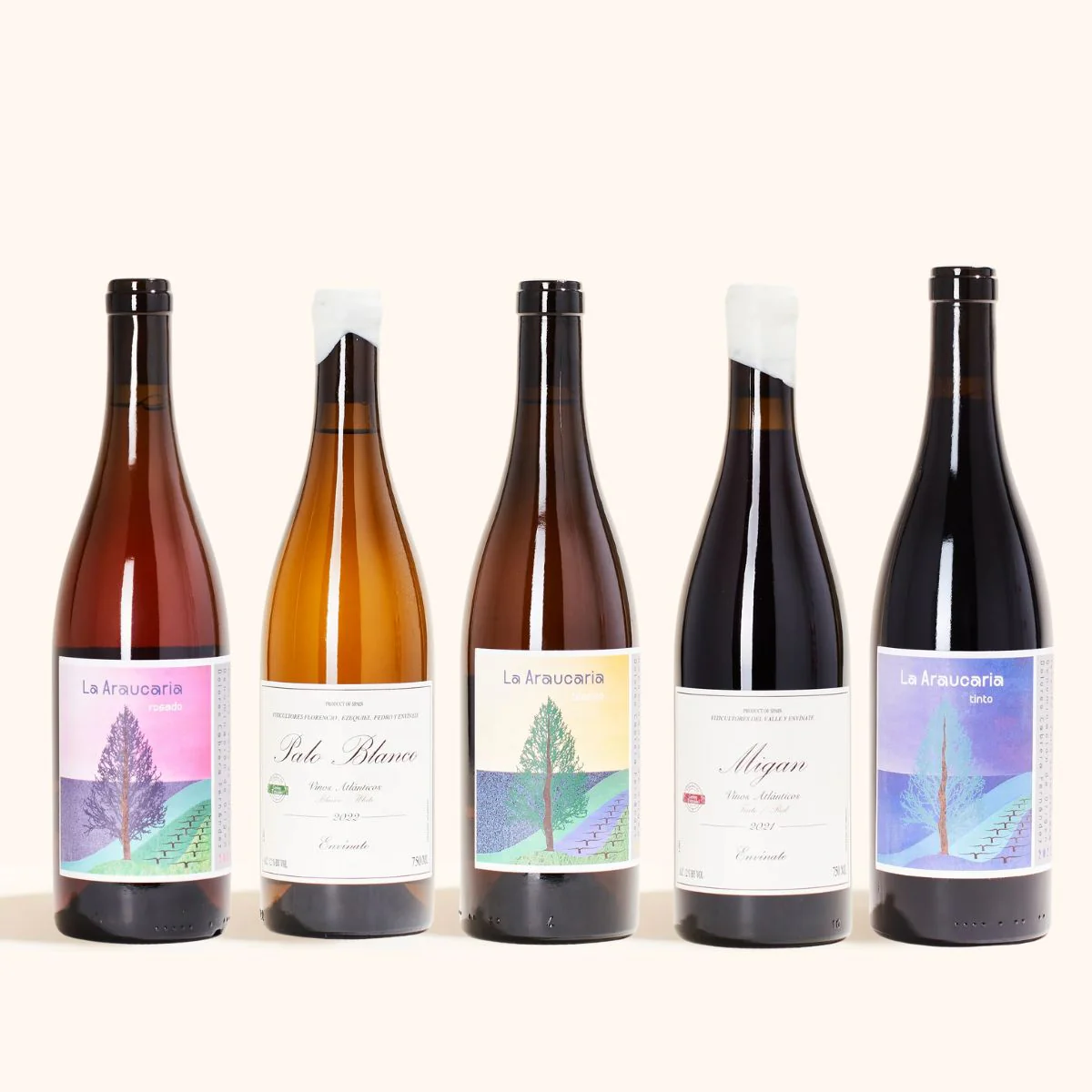 Canary Islands 5-Pack