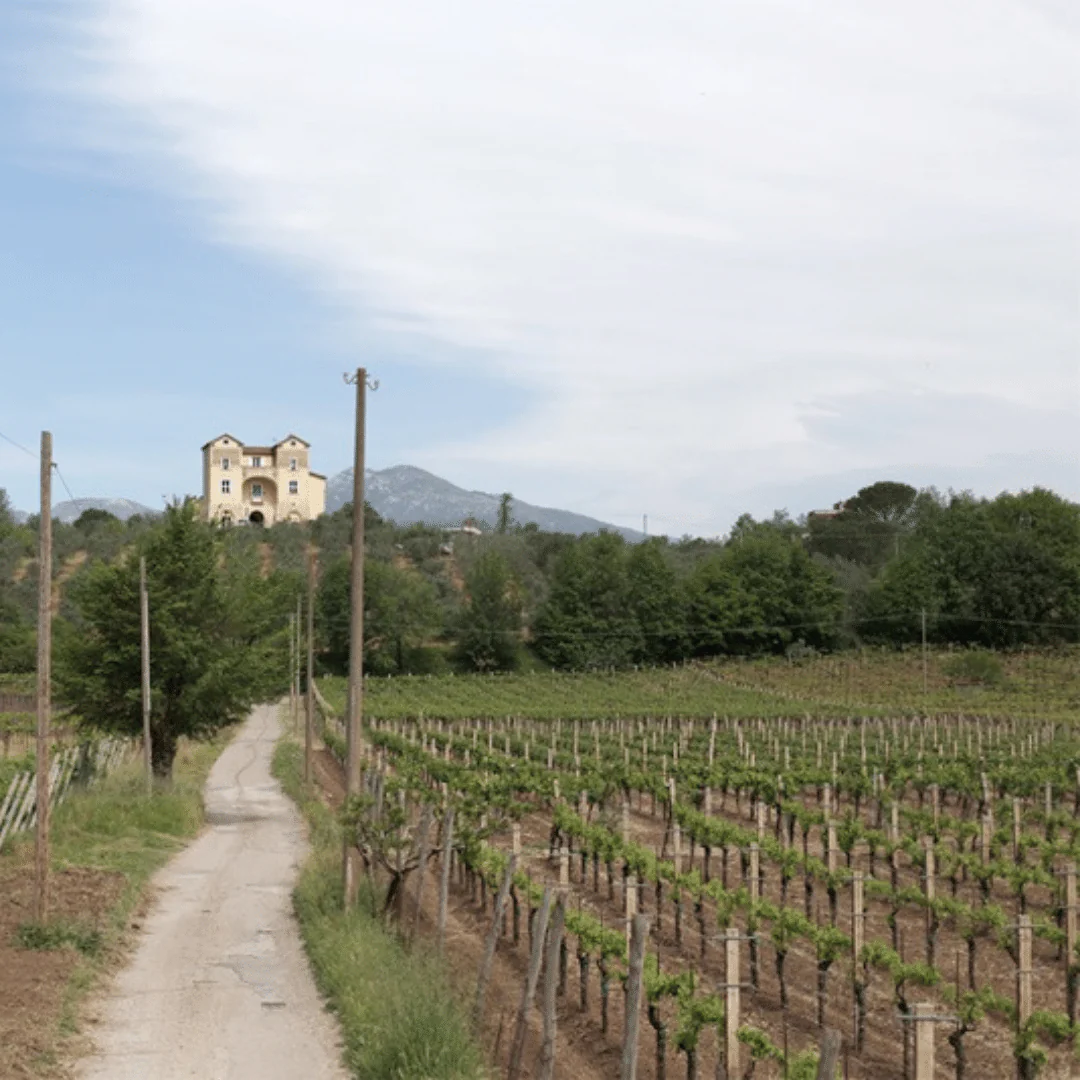 Vento 2015 - Image 4