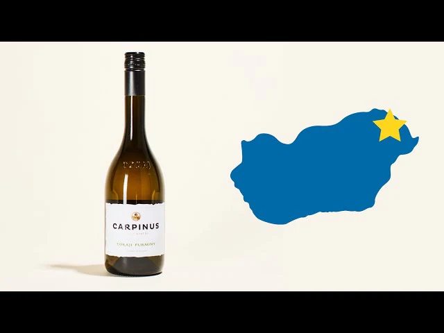 Furmint 2023 - Image 5
