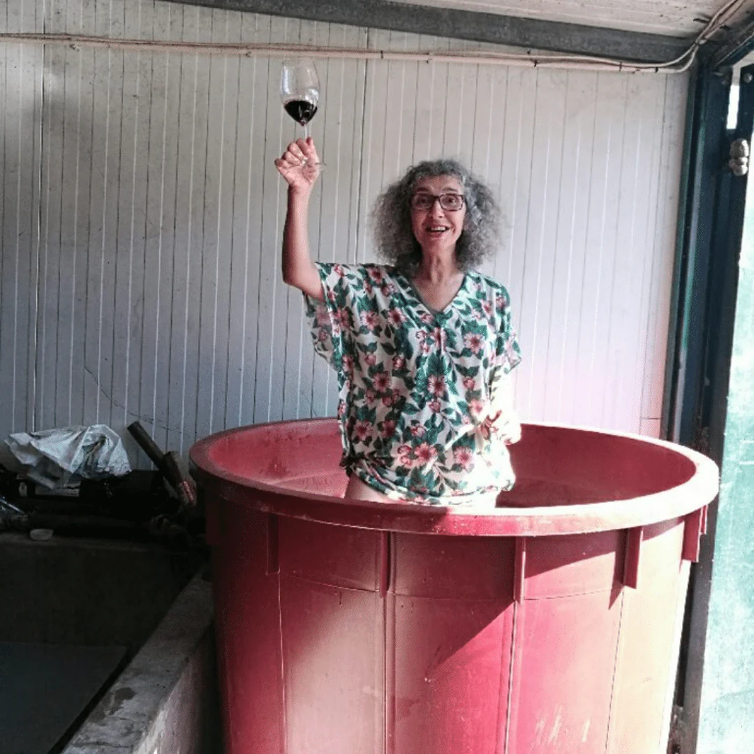 Clarete Tinto 2016 - Image 3