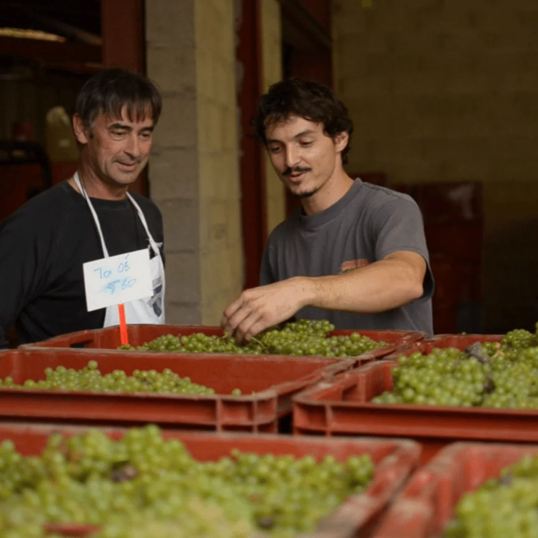 Chamery Rouge 2016 - Image 3