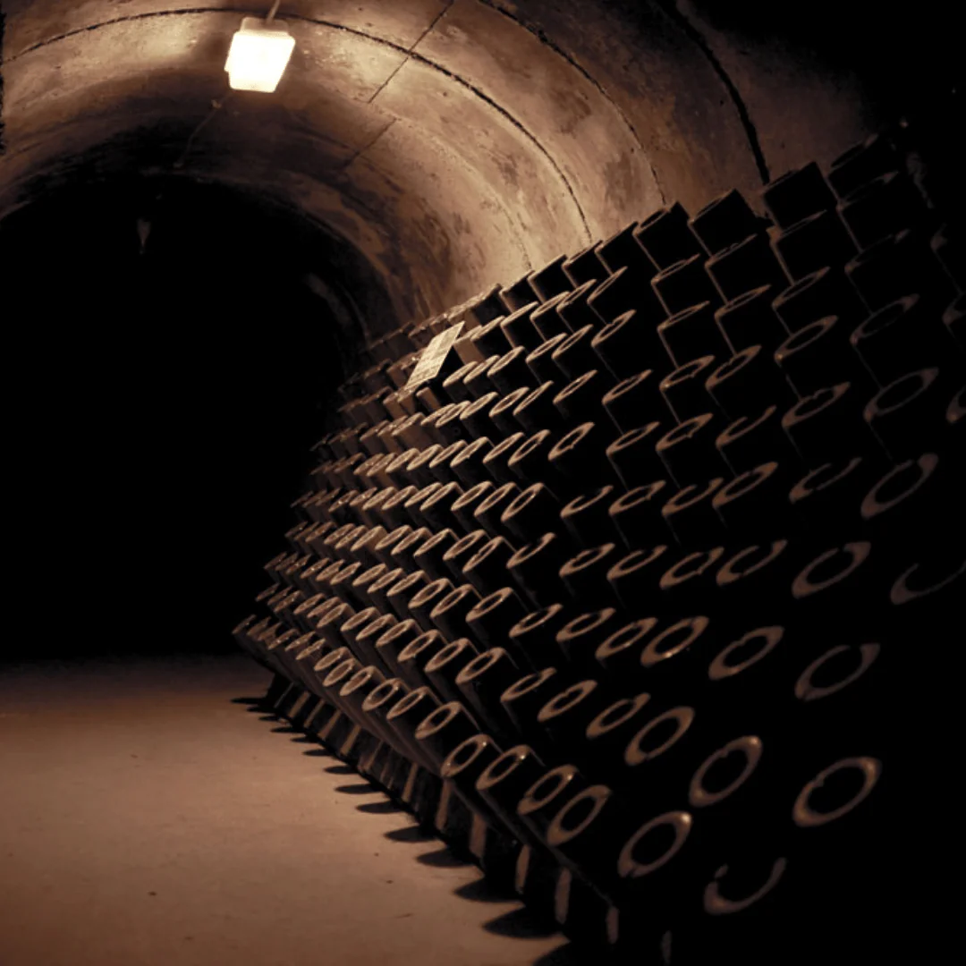 Cuvée Perpétuelle Extra Brut Champagne NV - Image 4