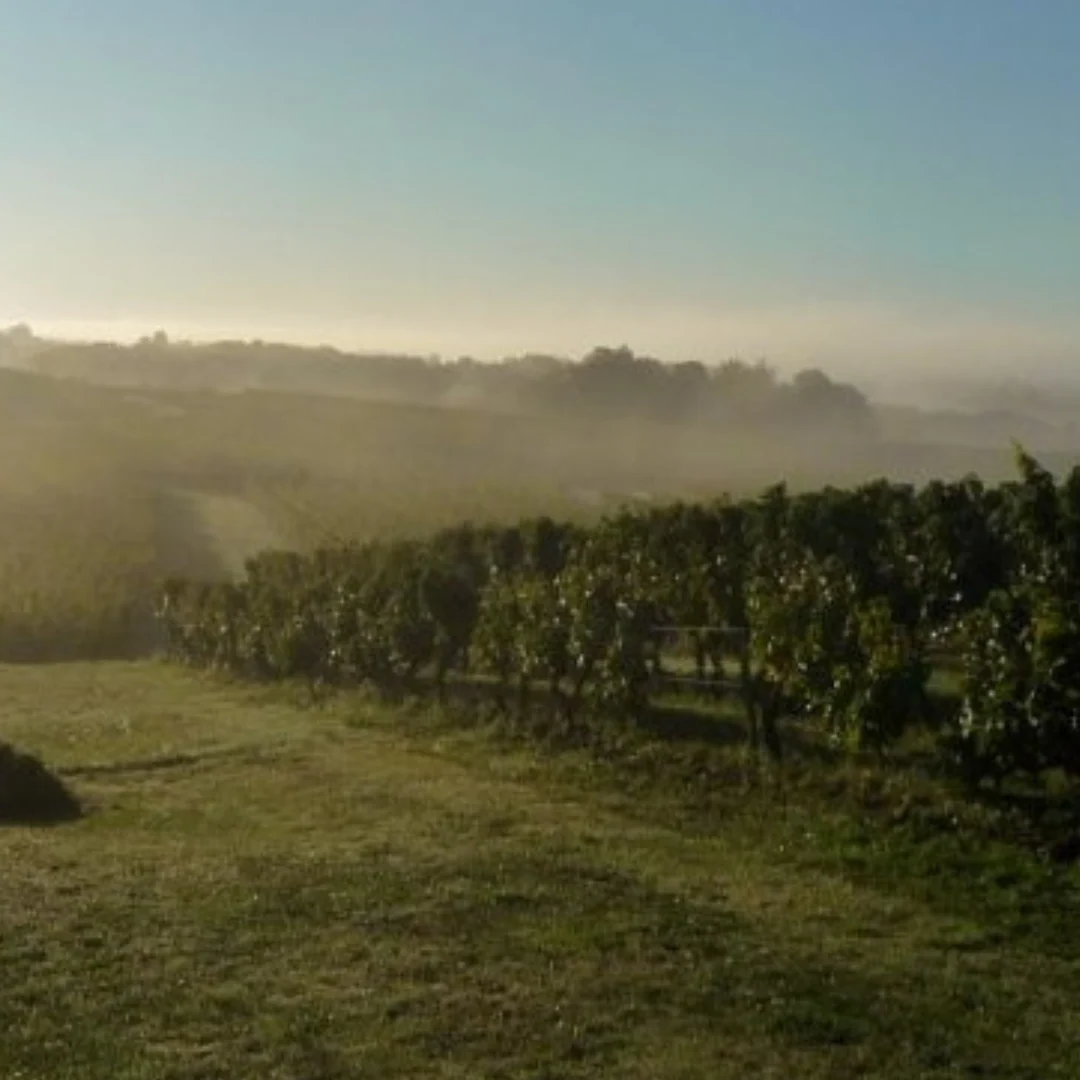 Bergerac Rouge 2021 - Image 4