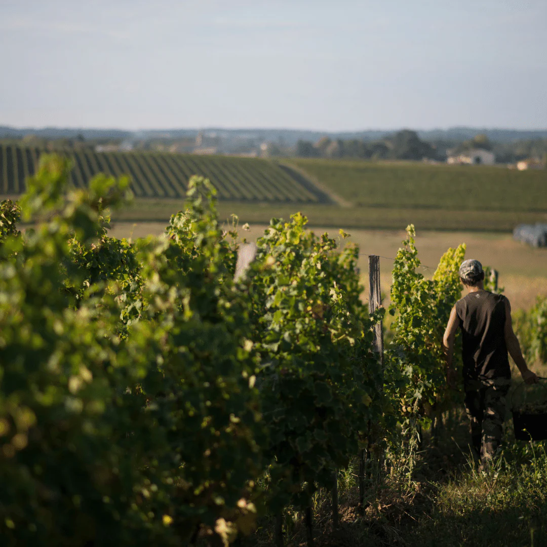 La Bise 2019 - Image 4