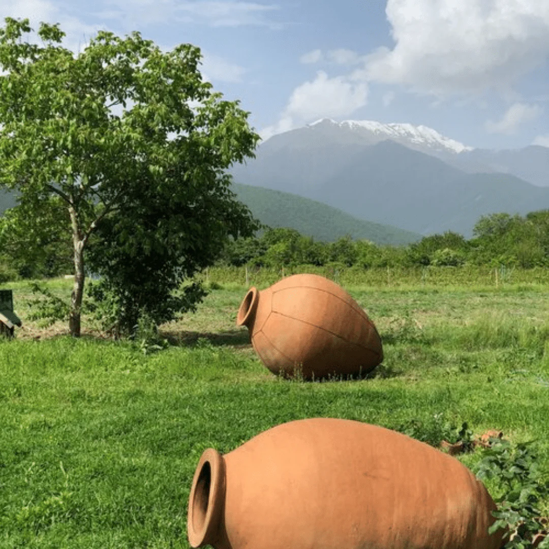 Rkatsiteli/Chinuri 2019 - Image 5