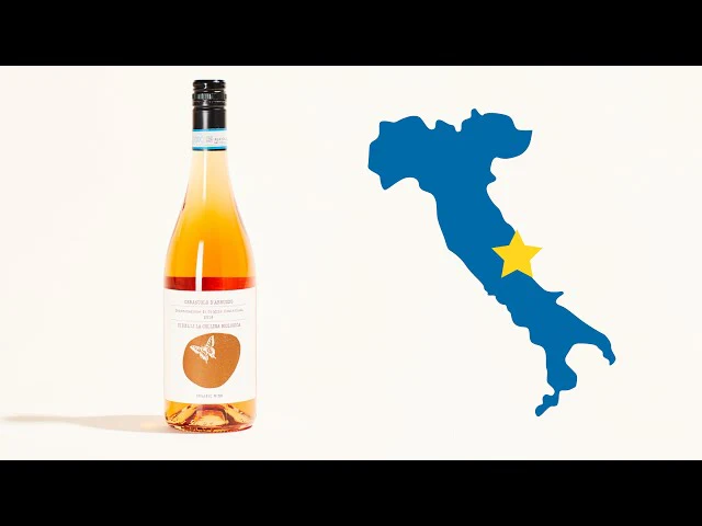 Rosé Cerasuolo d'Abruzzo 2019 - Image 5