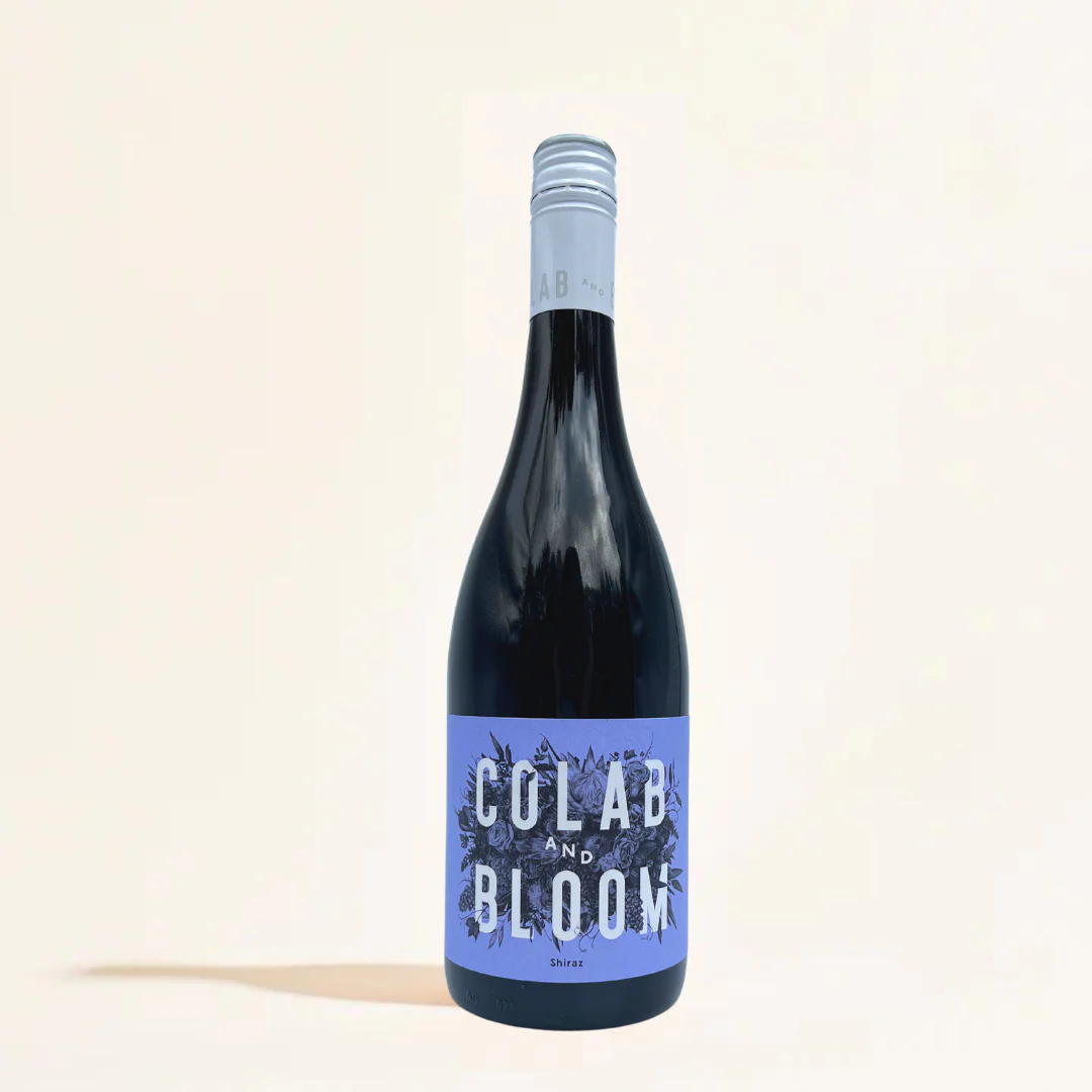 Shiraz 2018