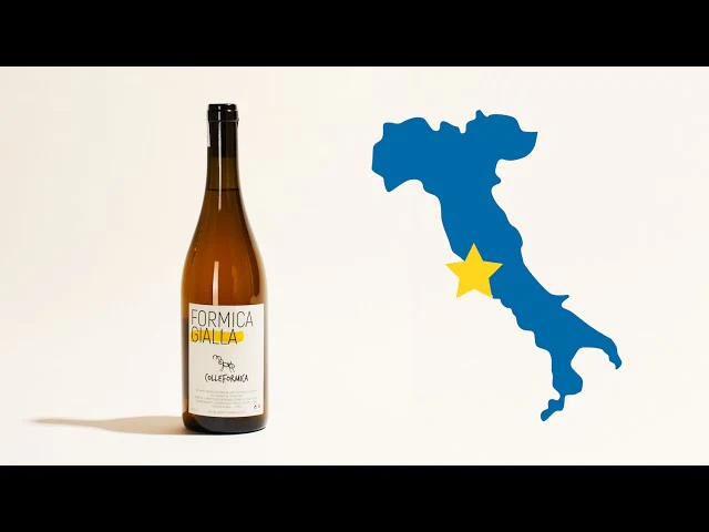 Formica Gialla 2019 - Image 5