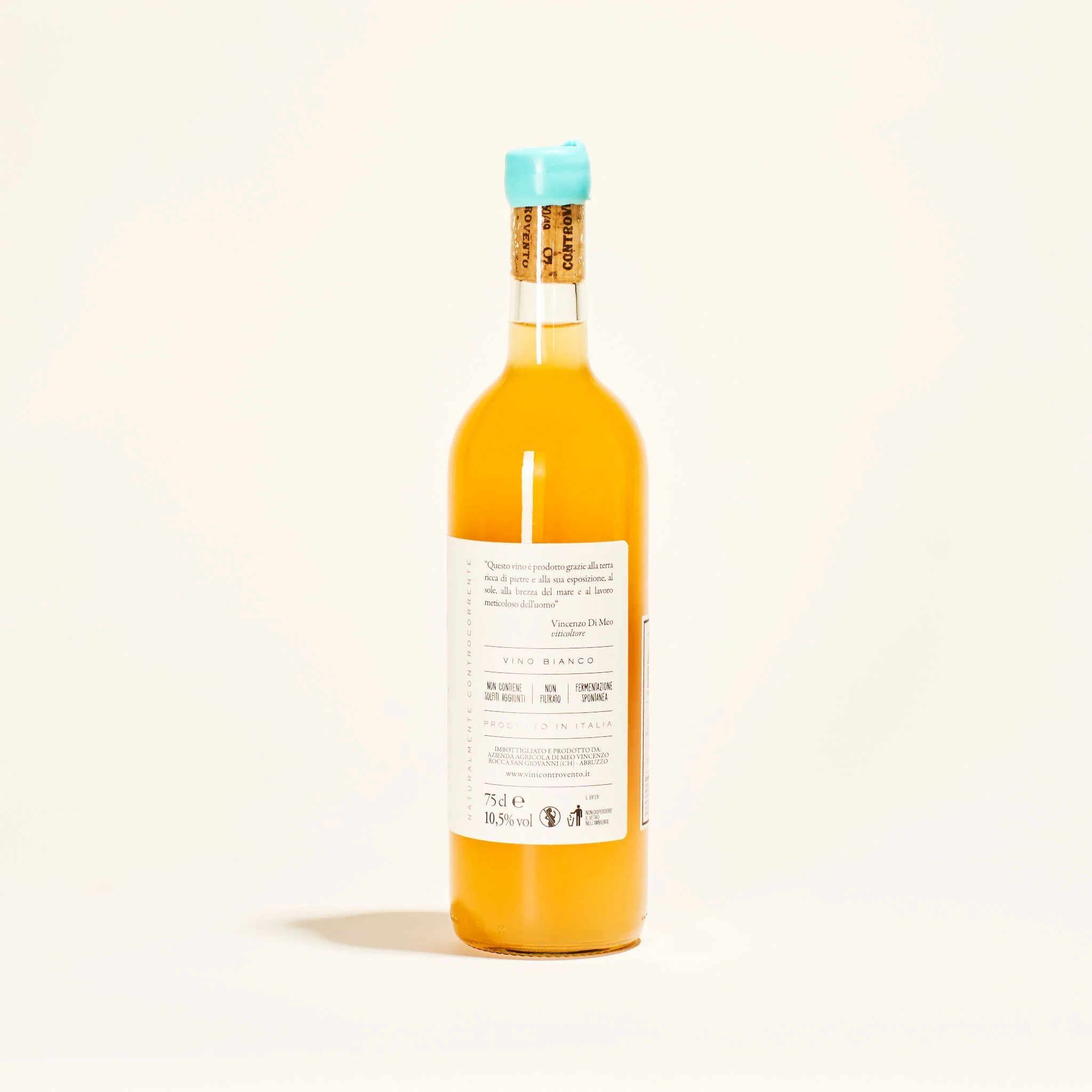 Doccia Fredda 2021 - Image 3