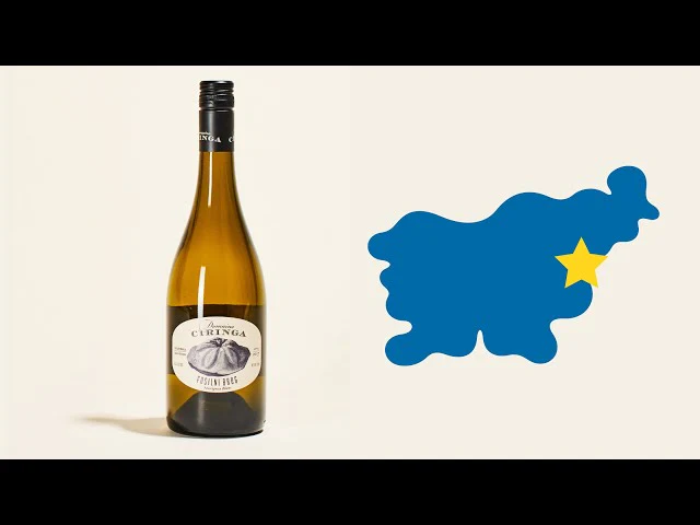 Fosilni Breg Sauvignon Blanc 2017 - Image 5