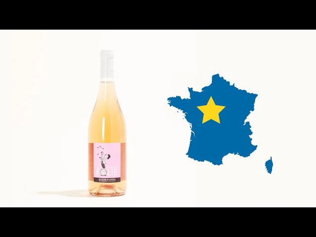 Brain de Folie Rosé 2021 - Image 5