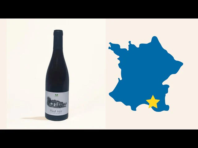 Pinot Noir 2020 - Image 5