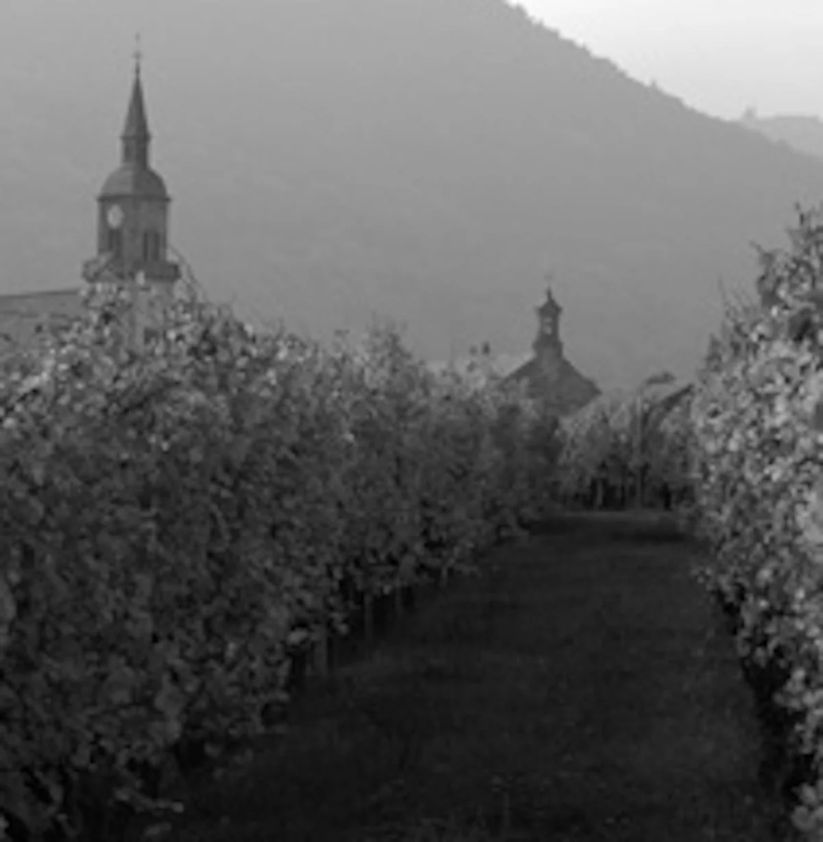 Crémant d'Alsace Extra Brut NV - Image 3