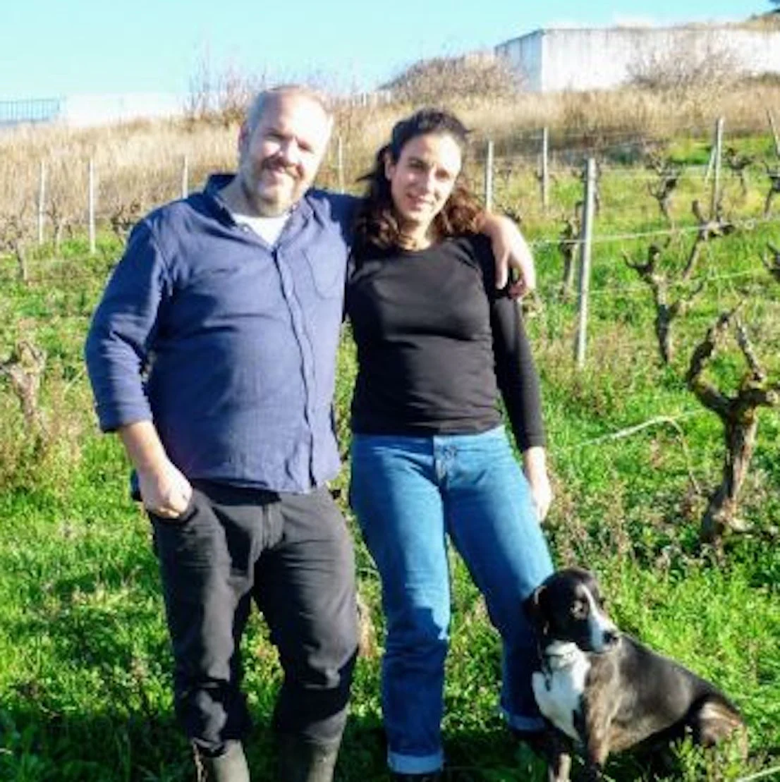 Vinho Branco “Monte Pratas” 2020 - Image 3