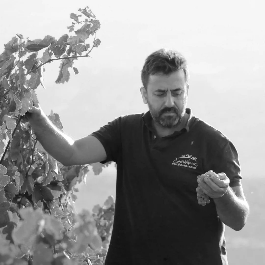 Vidiano ‘Amphora’ 2019 - Image 5