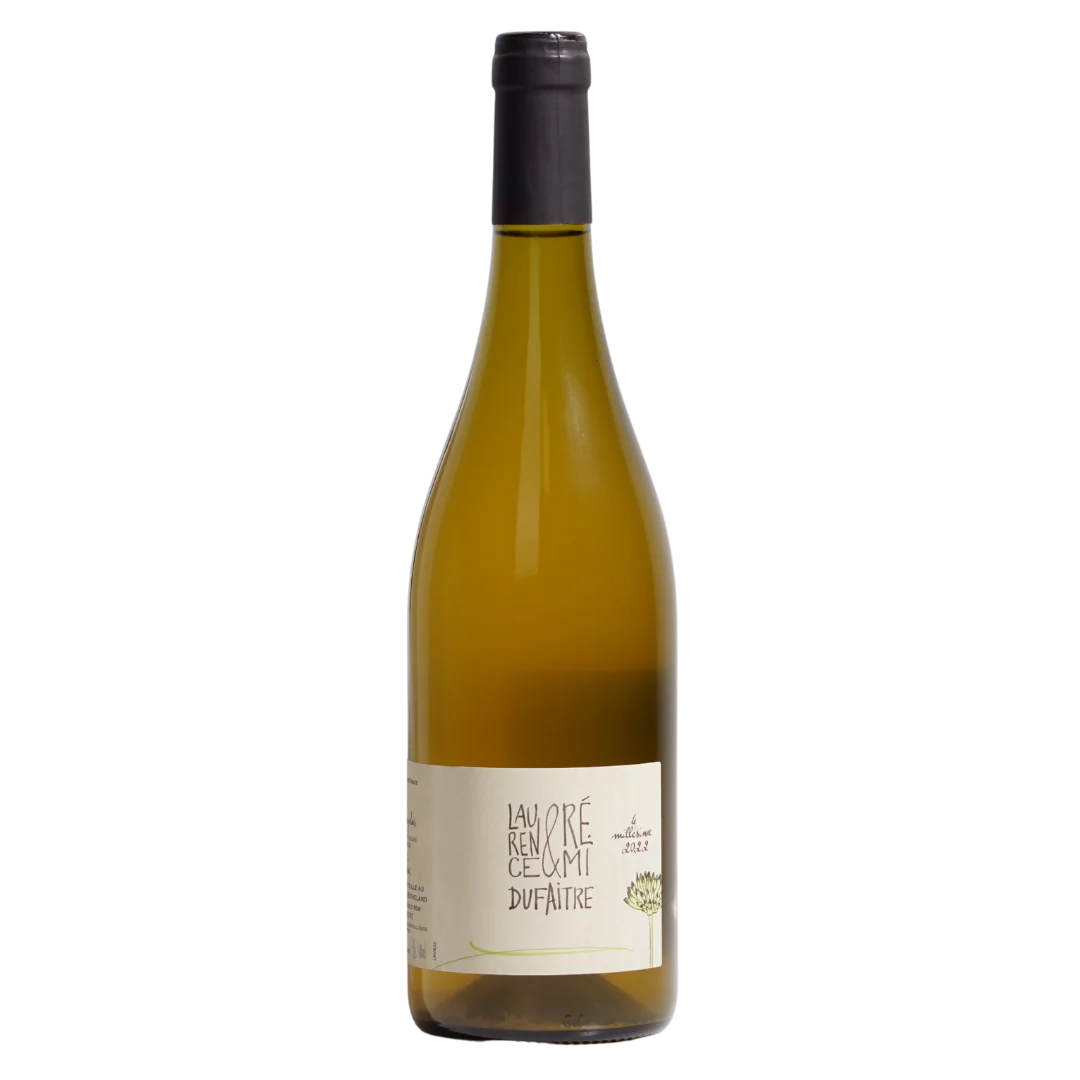Beaujolais Villages Blanc 2022