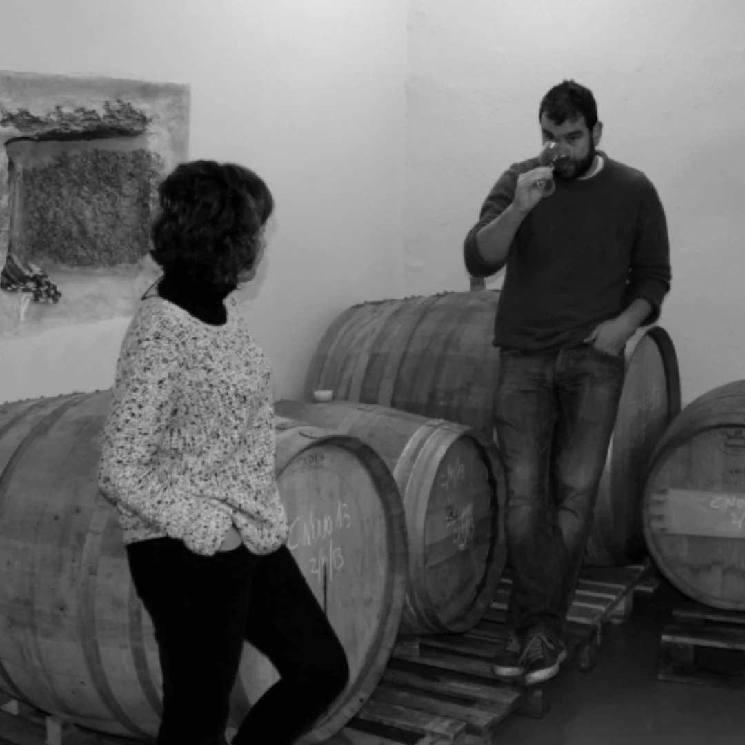 Palo Blanco 2022 - Image 3