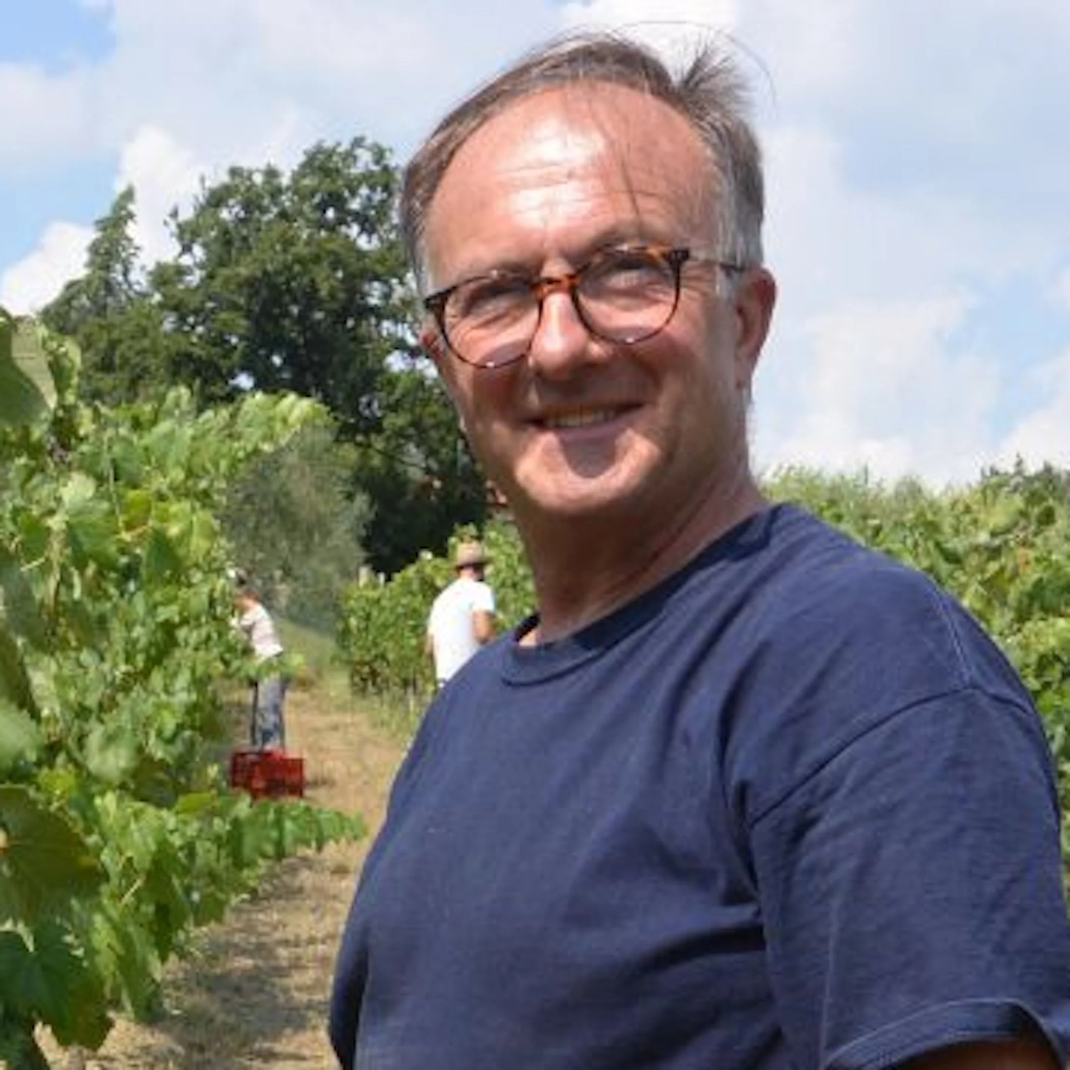 Arcipressi Rosso 2021 - Image 3