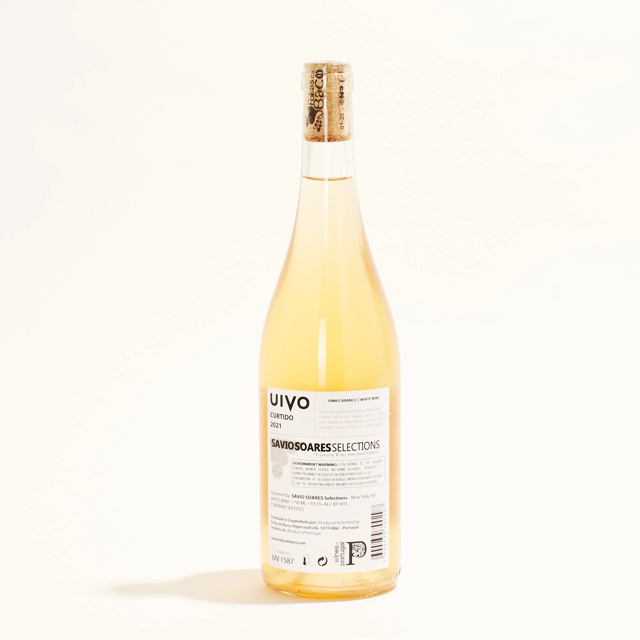 UIVO Curtido 2023 - Image 6