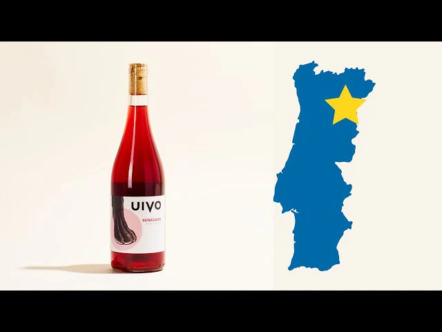 UIVO Renegado 2024 - Image 3