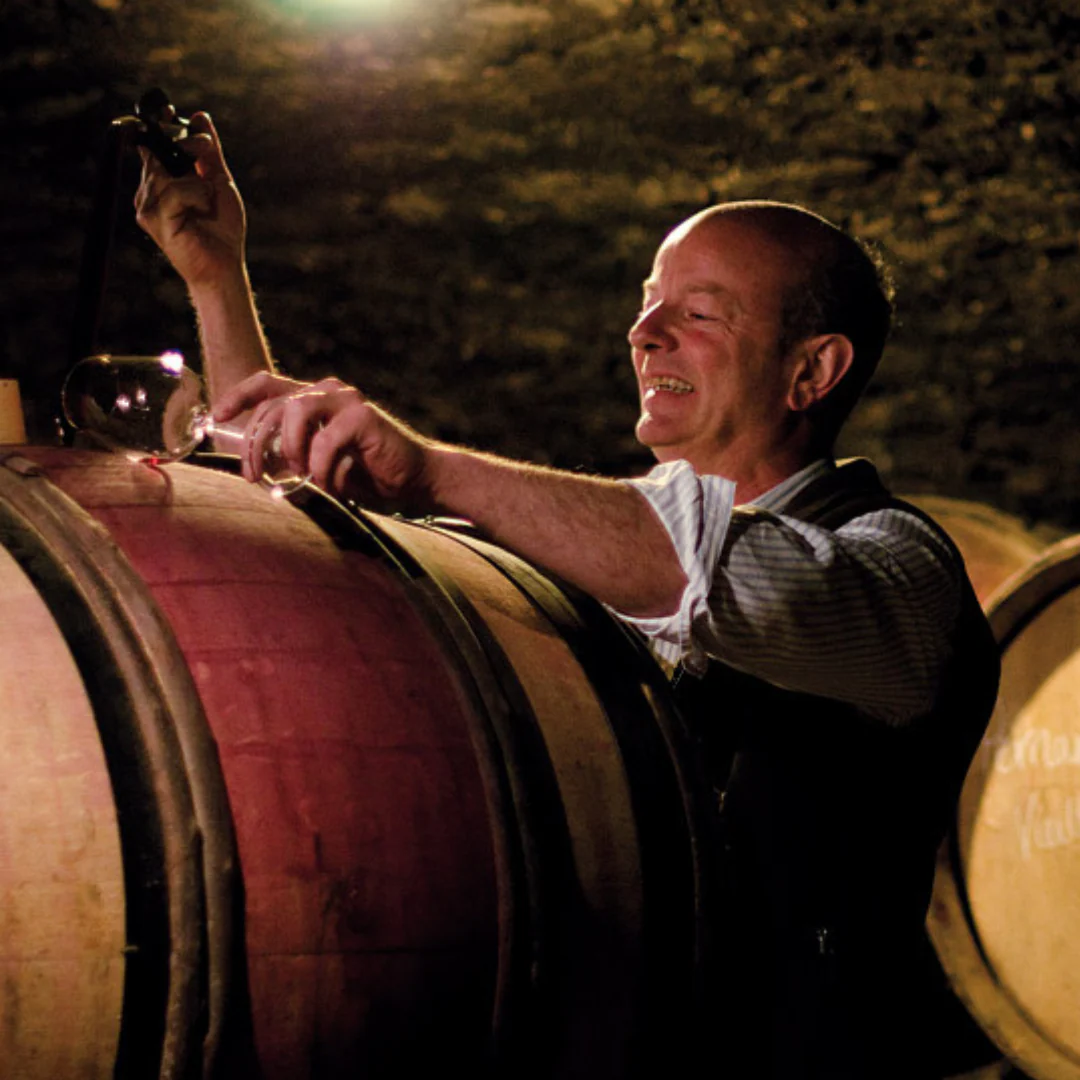 Cotes d`Auxerre Bourgogne Red 2019 - Image 4