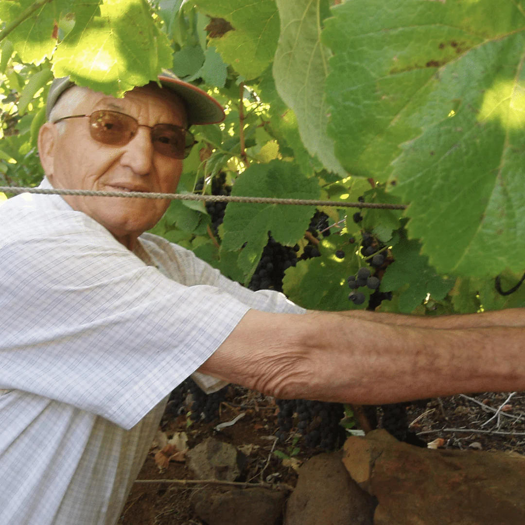 Tinto 2019 - Image 3