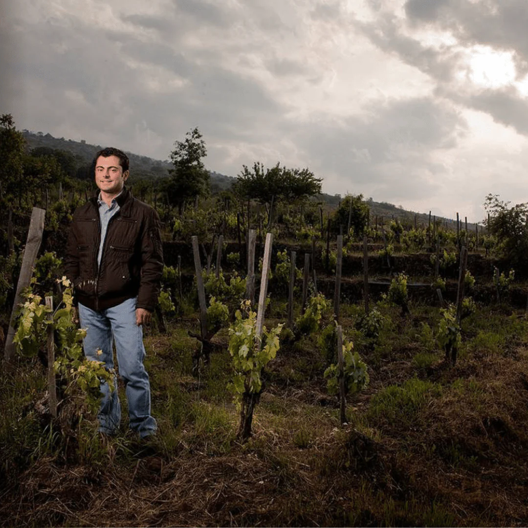 Etna Rosso 2019 - Image 4