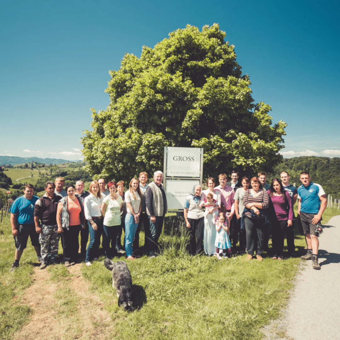 Tryo 2020 - Image 6