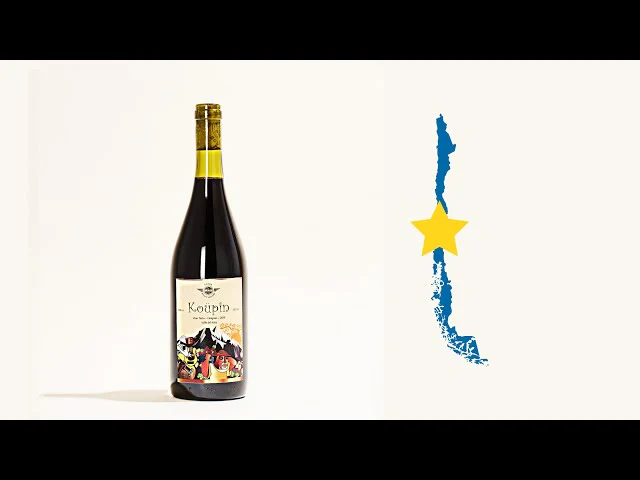 Koupin Carignan Valle del Itata Red 2019 - Image 4