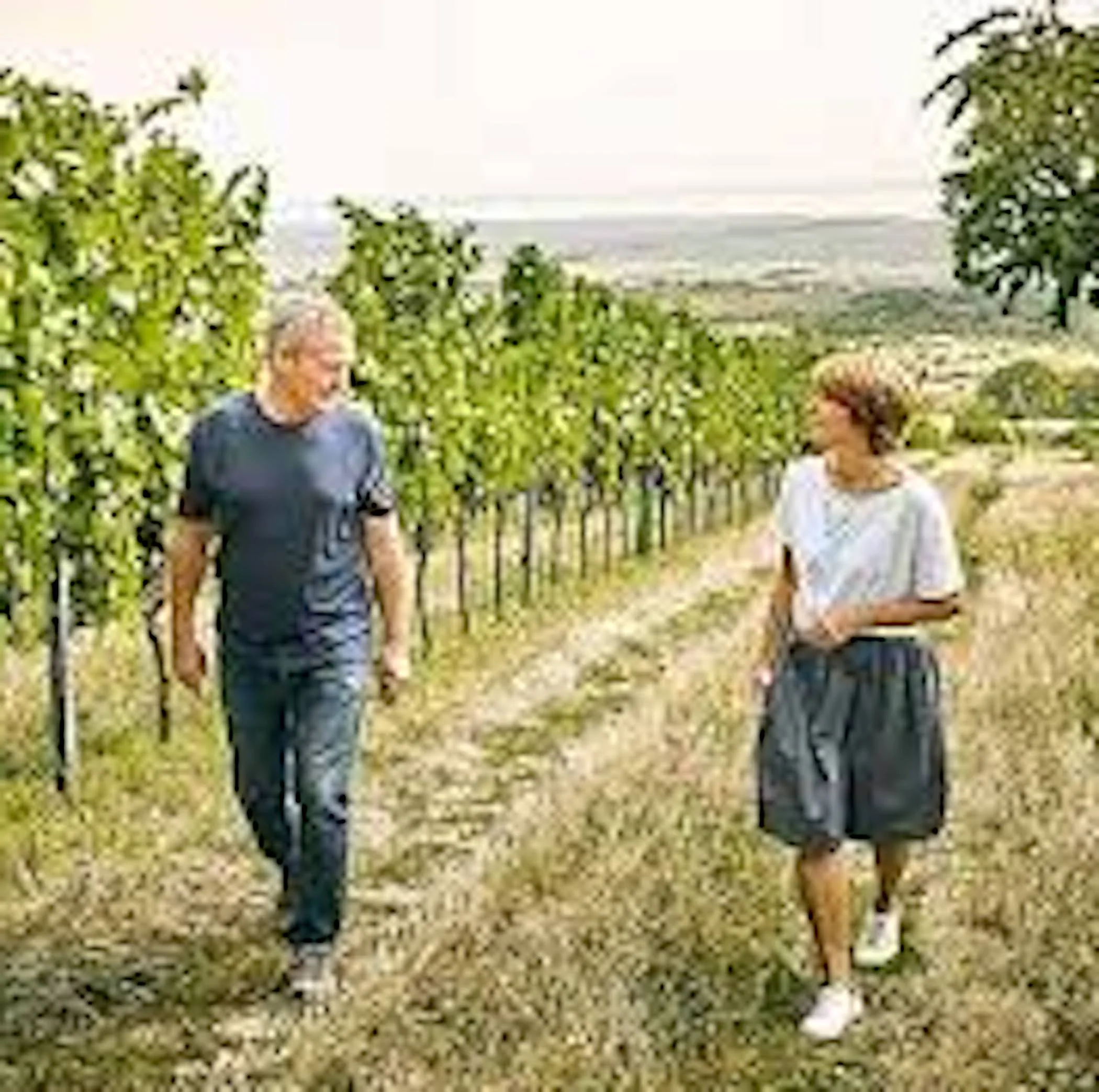 Pinot Noir Burgenland Red 2022 - Image 3