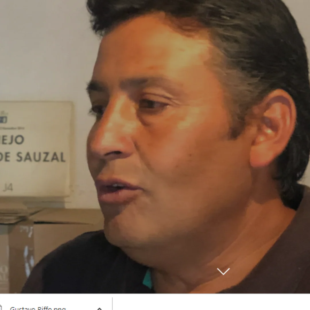 Chilena 2016 - Image 3