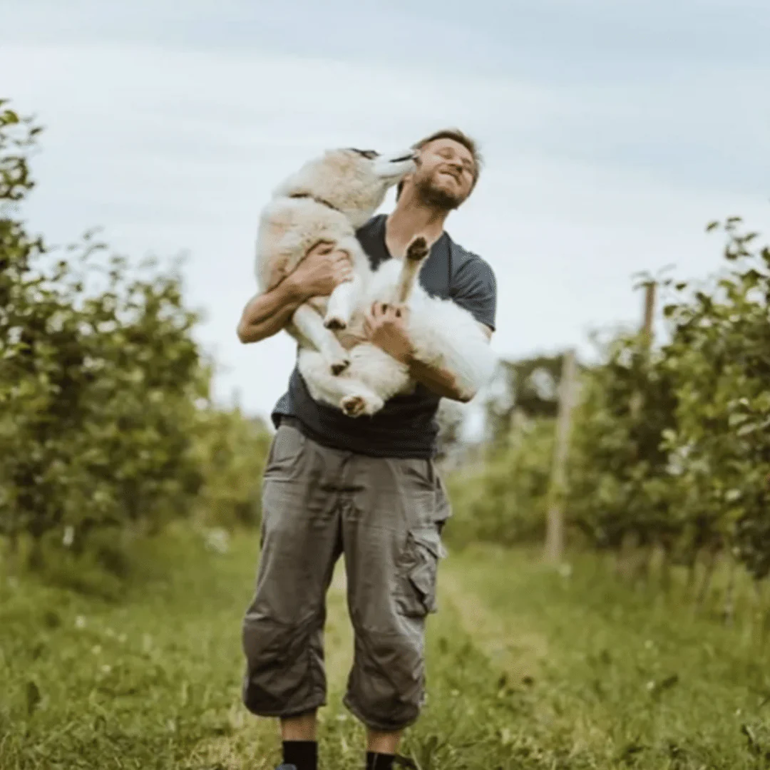 Hopped Cider 2017 - Image 3