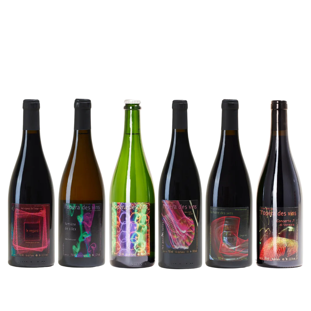 Jean-Pierre Robinot 6-Pack | Natural Wines from Loire Valley