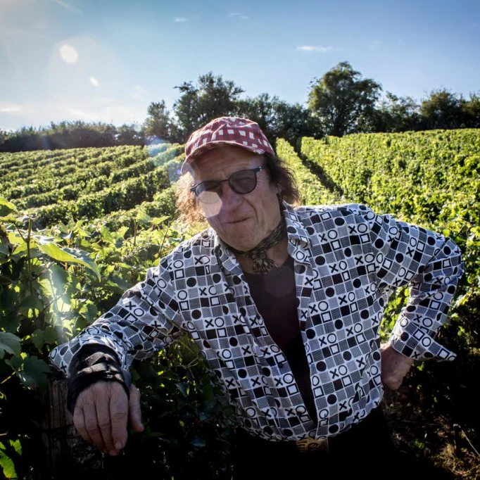 Jean-Pierre Robinot 6-Pack | Natural Wines from Loire Valley - Image 2