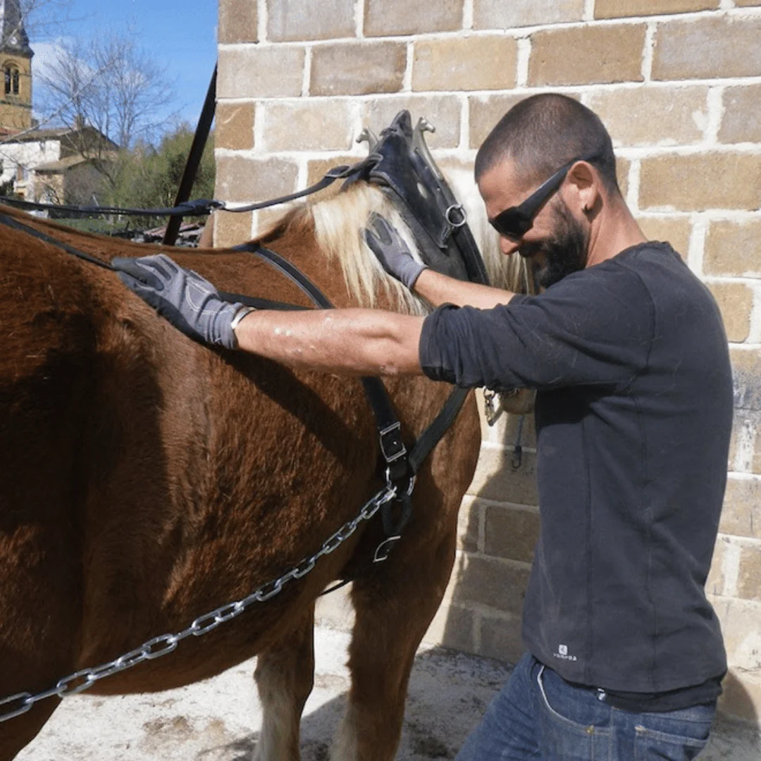 Philibert Beaujolais 2016 - Image 4