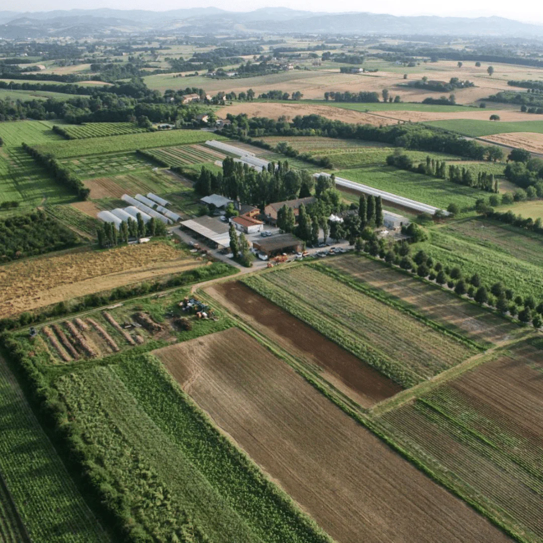 Fermentum Lambrusco IGT NV - Image 5