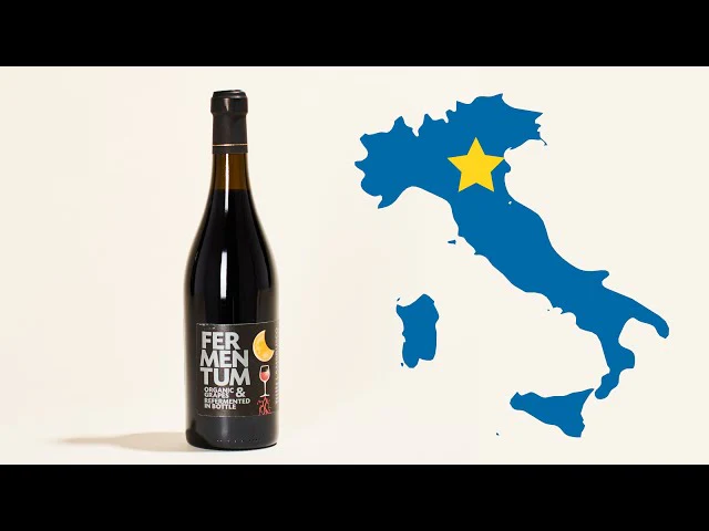 Fermentum Lambrusco IGT NV - Image 6