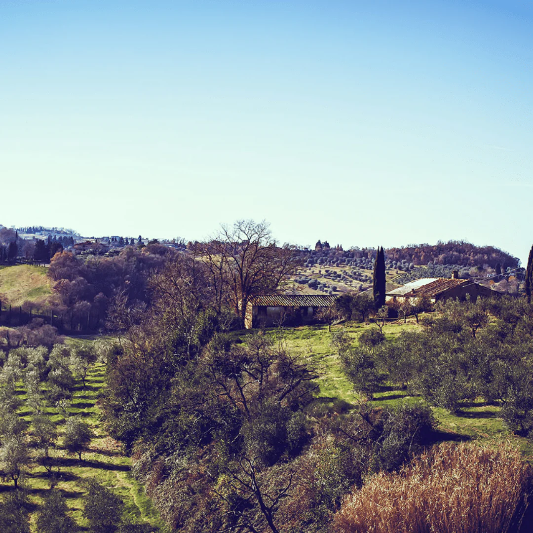 Sant'Ellero Chianti 2018 - Image 4