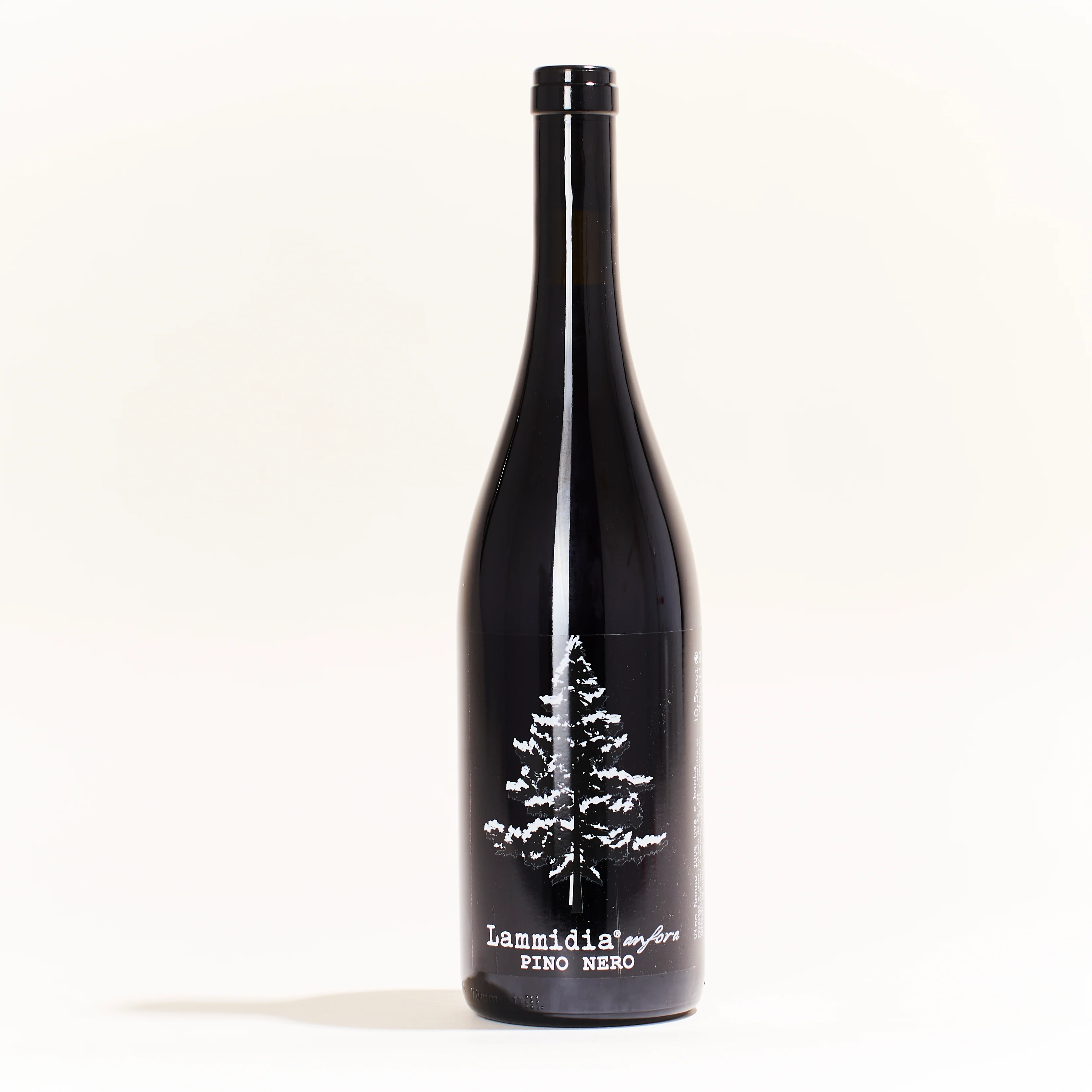 Pino Nero 2019