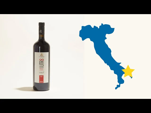 Litrotto Rosso 2019 - Image 5