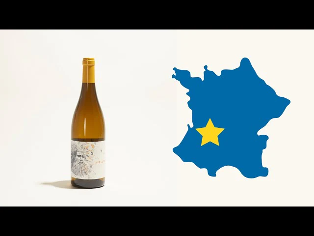 Hirsute Perigord Blanc 2020 - Image 5